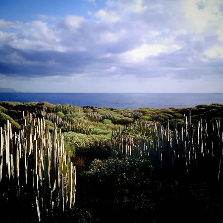 Crucero Vista Al Mar A Daire Puertito de Guimar